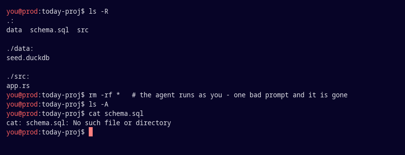 A shell running as the user: ls shows a project, then rm -rf * actually deletes every file, and cat schema.sql fails with No such file or directory.